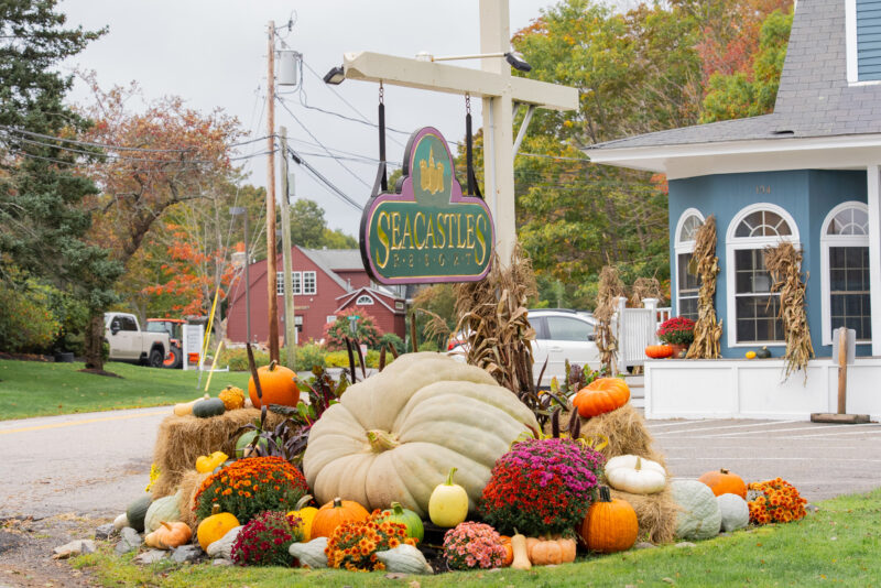 giant pumpkin in Ogunquit Maine