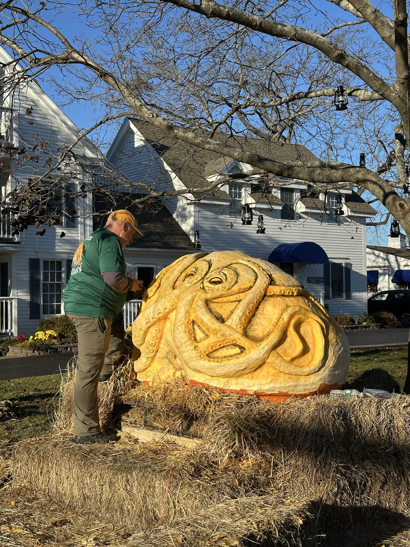 sparhawk oceanfront resort ogunquit maine pumpkin carving fall season
